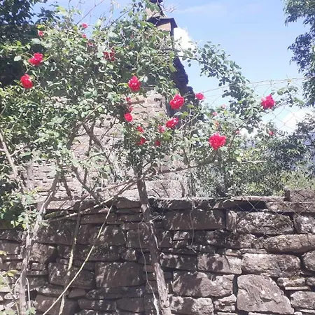 In Buhal *